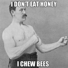 honey-bees